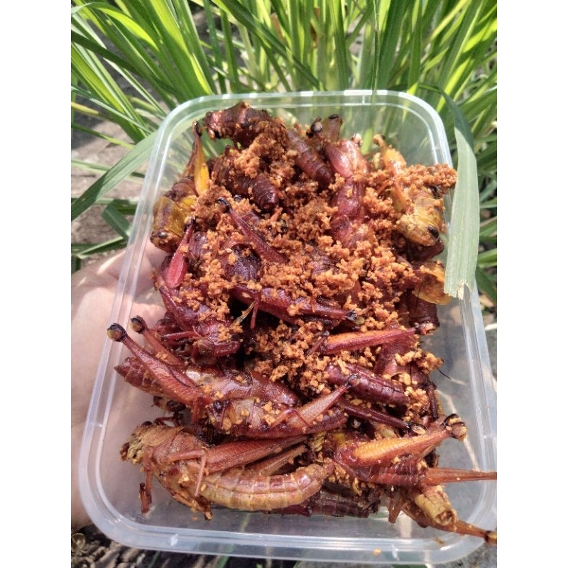 

BELALANGGORENG SNACK BOX