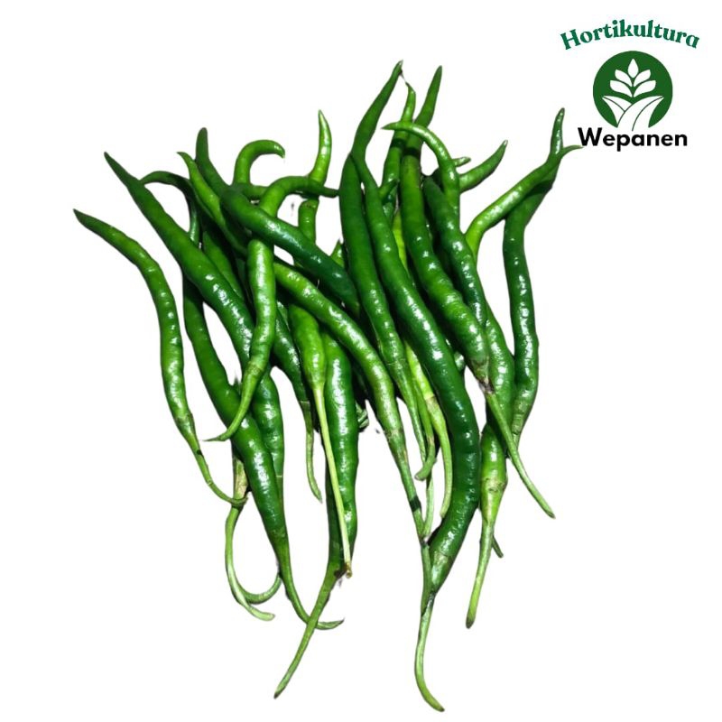 

Cabai Kriting Hijau Fresh Sleman 1kg