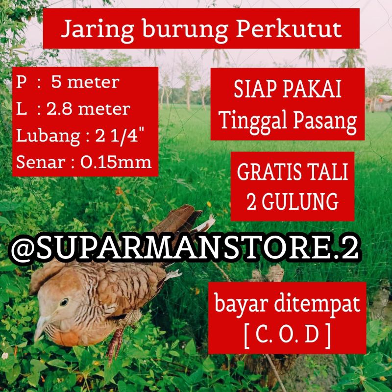 JARING BURUNG PERKUTUT 5 METER JARING BURUNG PERKUTUT SIAP PAKAI JALA JEBAKAN BURUNG PERKUTUT 5M REK