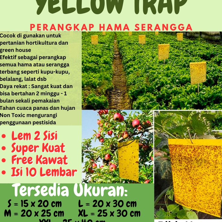 TLm Yellow Trap Perangkap Lem Lalat Buah Kertas Hama Serangga Tanaman