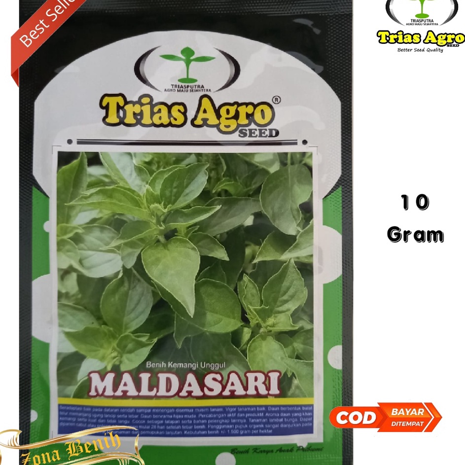 Mewah Isi 1 Gram Bibit Kemangi MALDASARI  Benih Kemangi Unggul  Bibit Sayuran  Bibit Unggul
