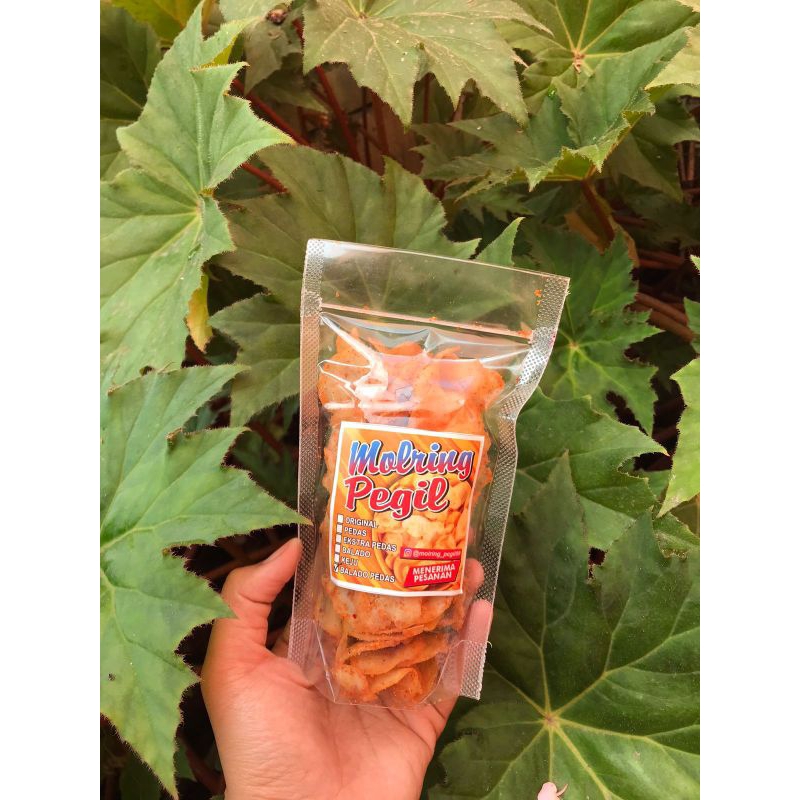 

Molring Pegil Ukuran 100 Gram