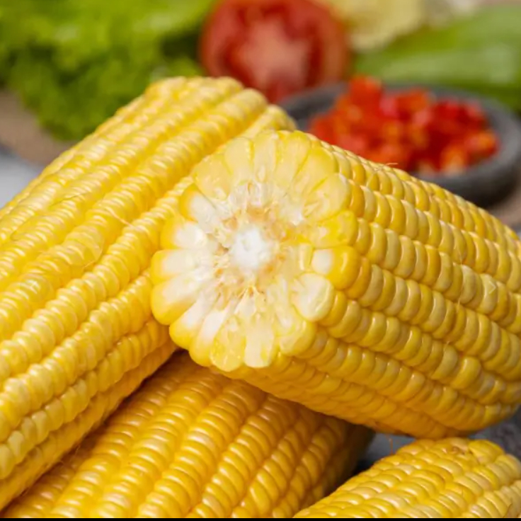 

NOB KIRIM INSTAN Jagung Manis 1kg