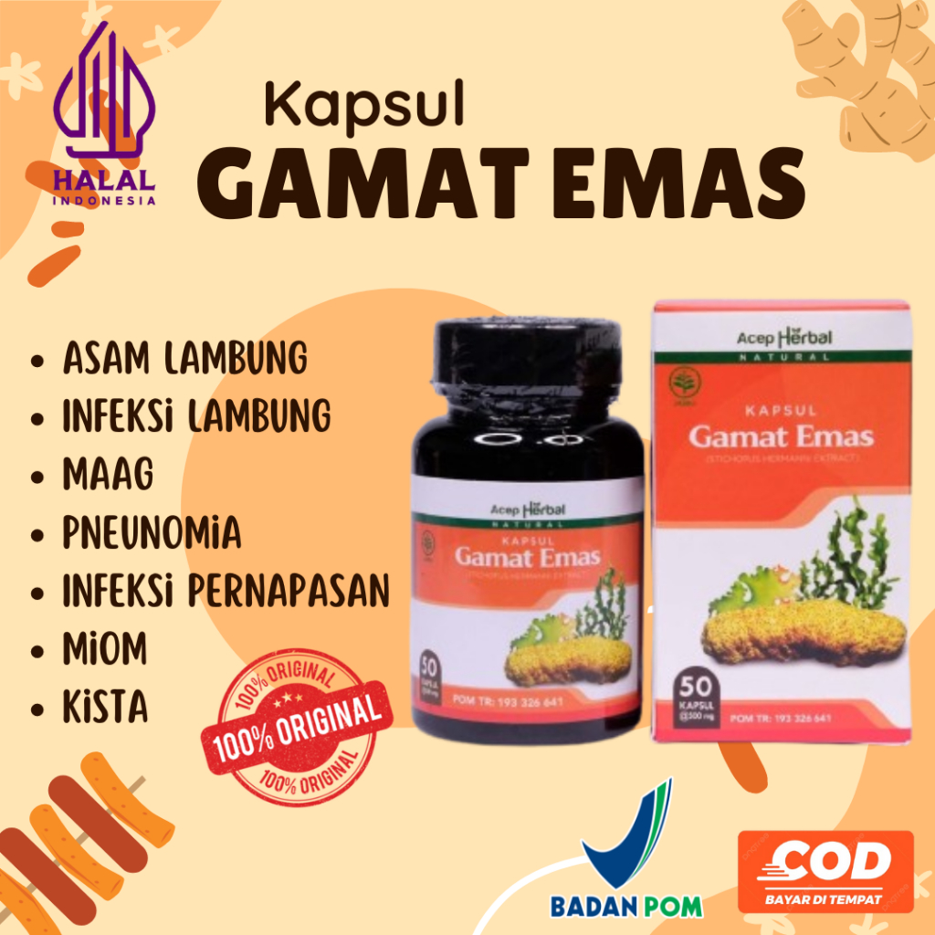 Kapsul Gamat Emas Ekstrak Teripang Emas Asam Lambung Infeksi Lambung Maag
