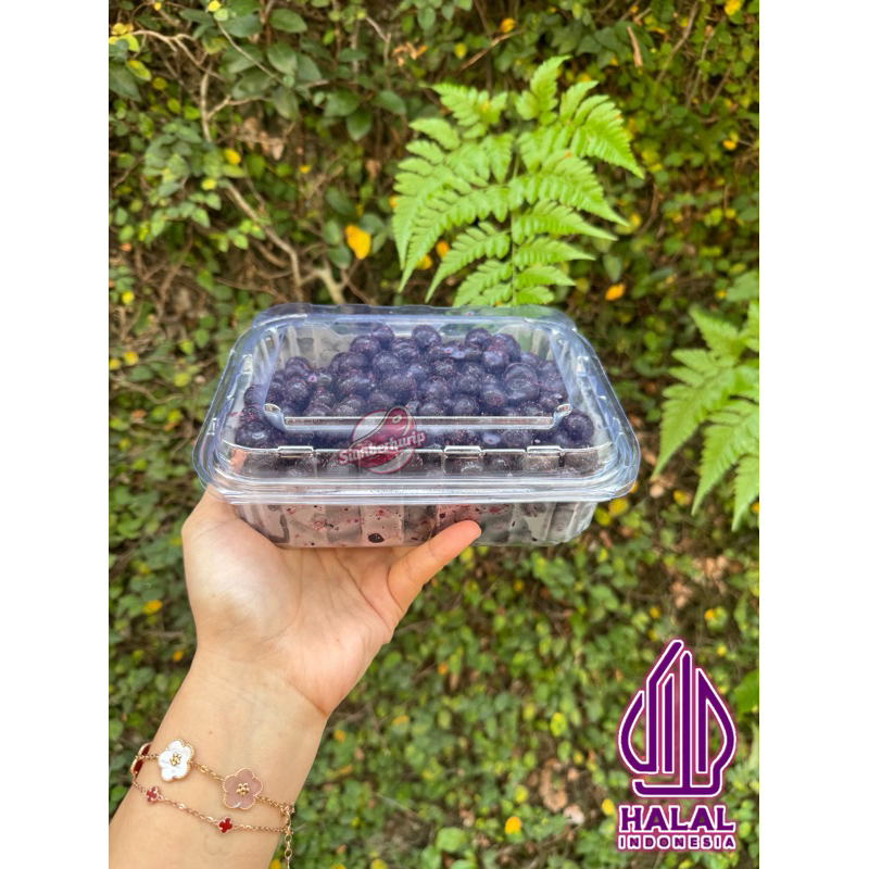 

BLUEBERRY FROZEN FRUITS 500gr