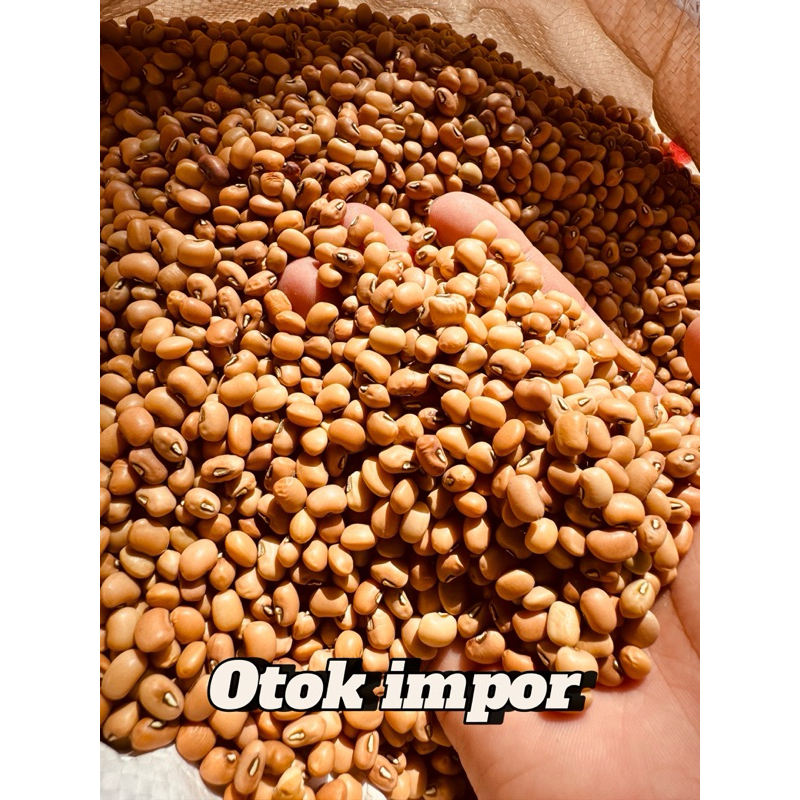 

Kacang Beras Merah- Kacang otok merah impor/lokal 1KG