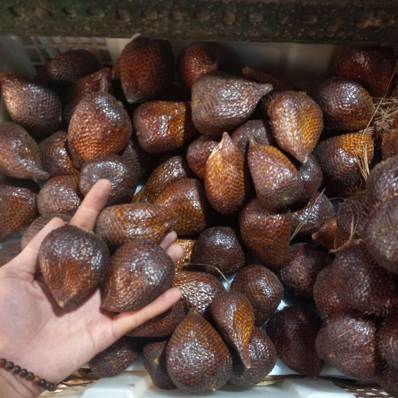 

Salak Pondoh - 500gr