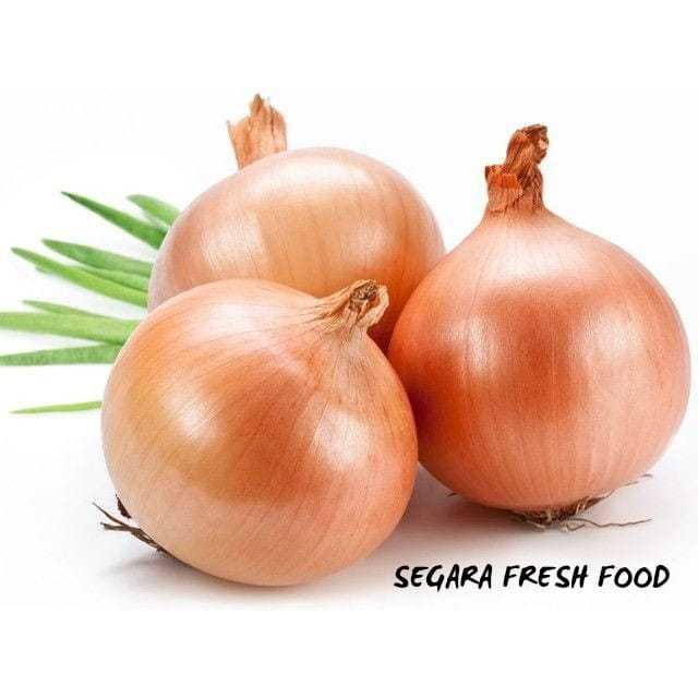 

KIRIM INSTAN Bawang Bombay 250gr / Segara Fresh Food
