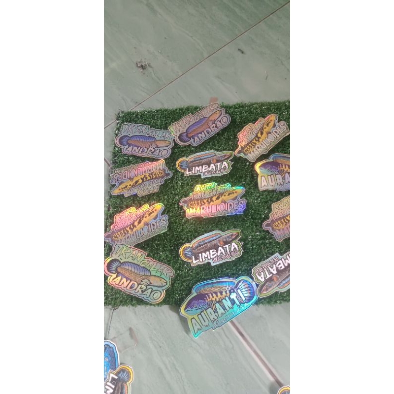 sticker aquarium hologram chana