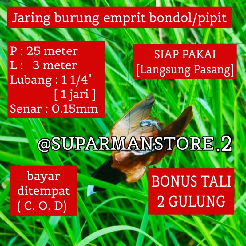 JARING BURUNG PIPIT 25 METER JARING BURUNG EMPRIT 25X3 M JARING BURUNG EMPRIT BONDOL JARING BURUNG H