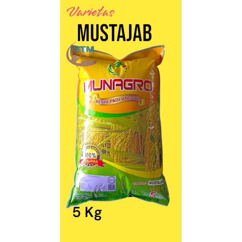 Benih padi Mustajab munagro 5kg