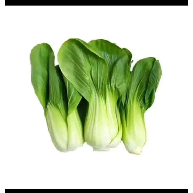

Pakcoy /sayur pakcoy 500gram