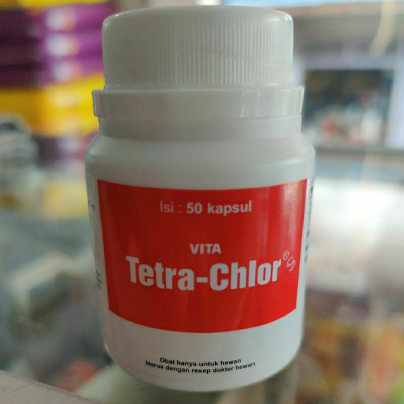 Vita tetra chlor 50 kapsul