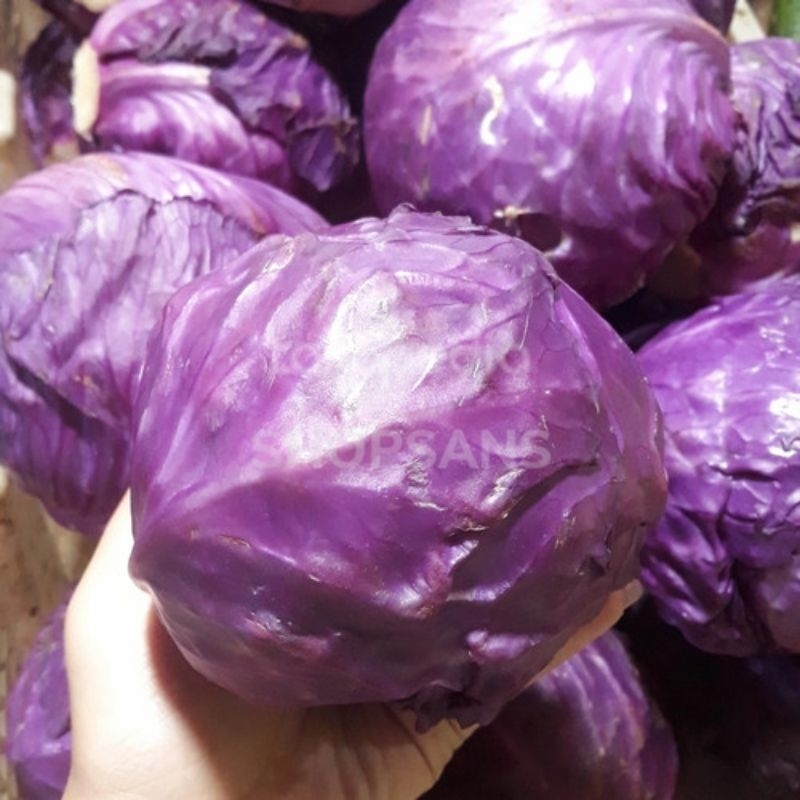 

kol ungu 1kg