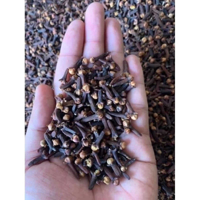 

Cengkeh Kering isi 500gr/Cengkeh Clove bumbu rempah