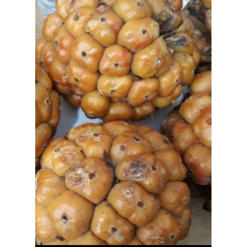 

Asam cikala/Asam kecombrang 500 gr