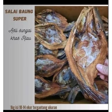

SALAI BAUNG SUNGAI SUPER KHAS RIAU
