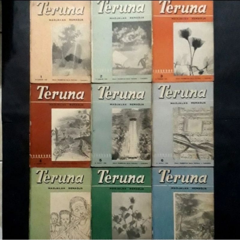 PAKET KOLEKSI 20 TERUNA MADJALAH REMADJA