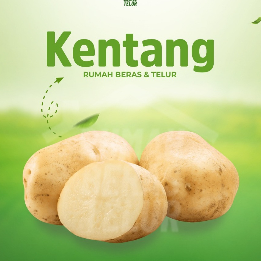 

Kentang Dieng