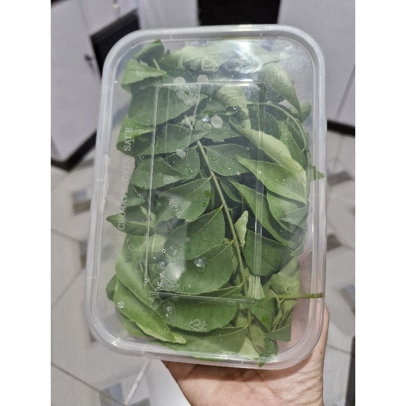 

Daun Kari/Salam Koja