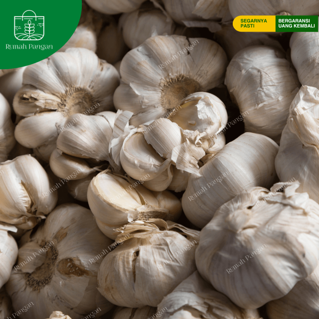

Bawang Putih Reguler