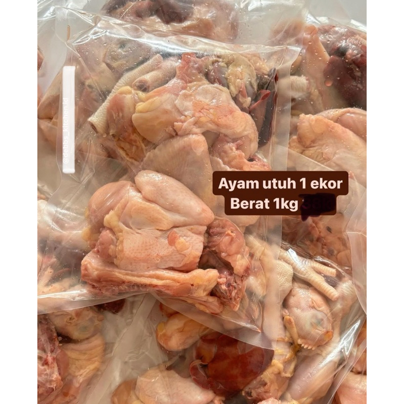 

AYAM Utuh Frozen 1 Ekor