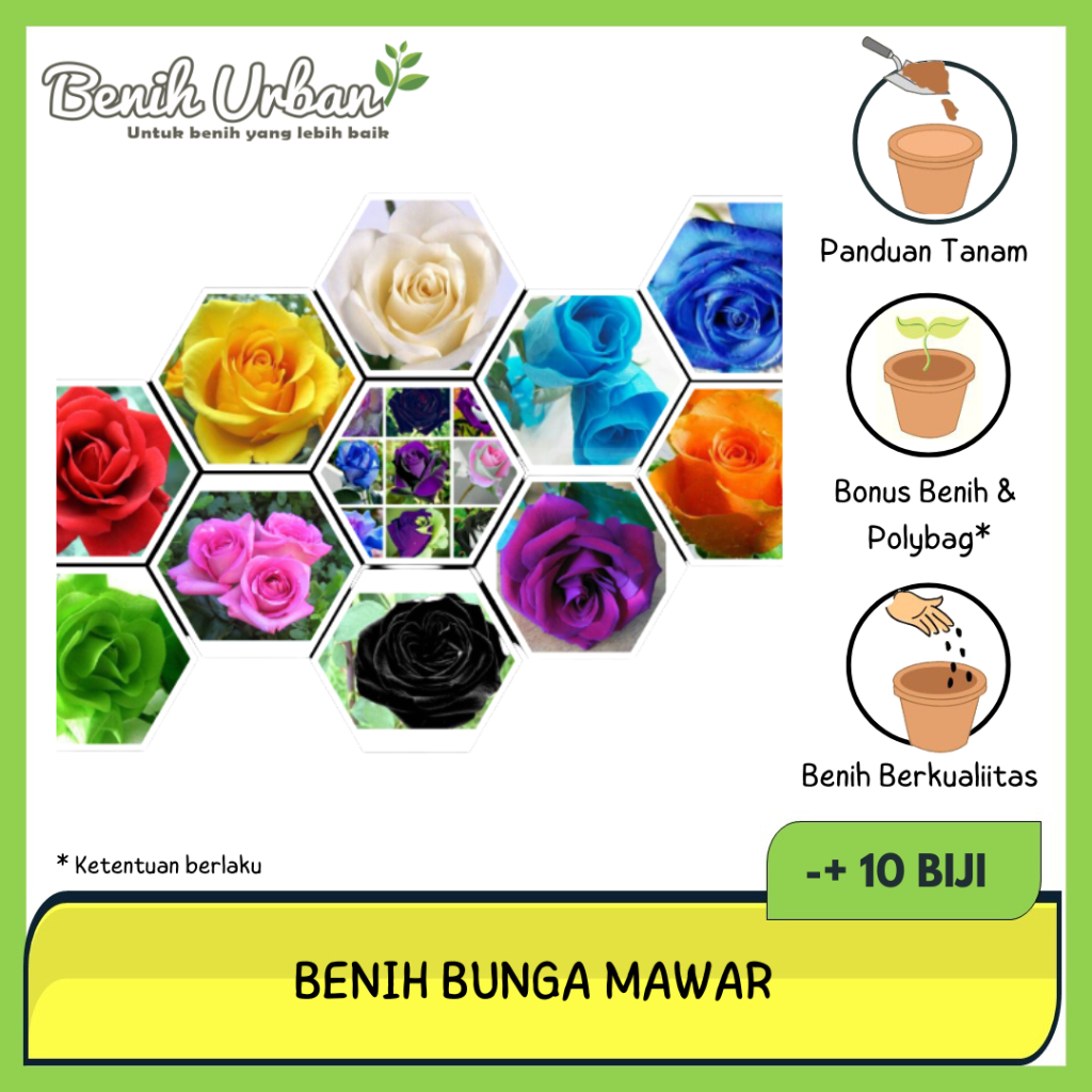 10 Biji Benih Bibit Bunga Mawar Langka Mixed