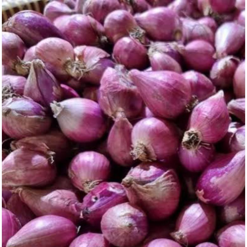 

bawang merah 250gr