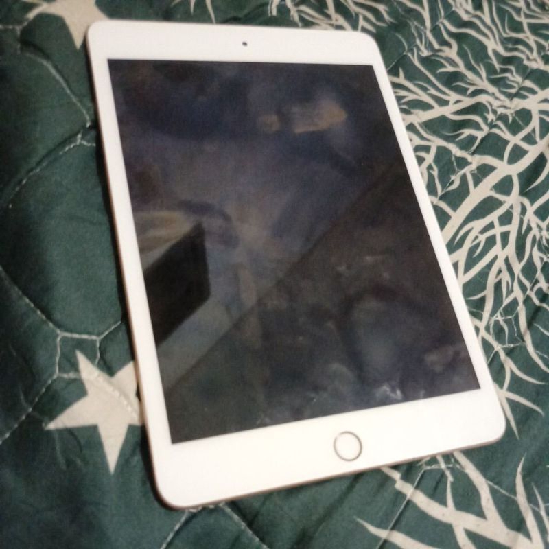 Ipad mini 5
