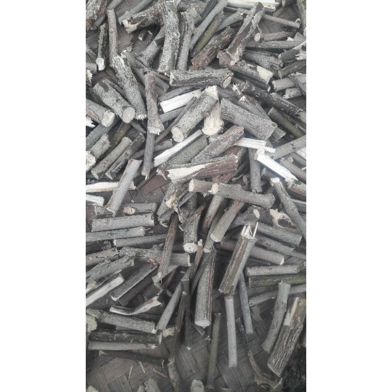 

jual batang dan daun kering srigugu