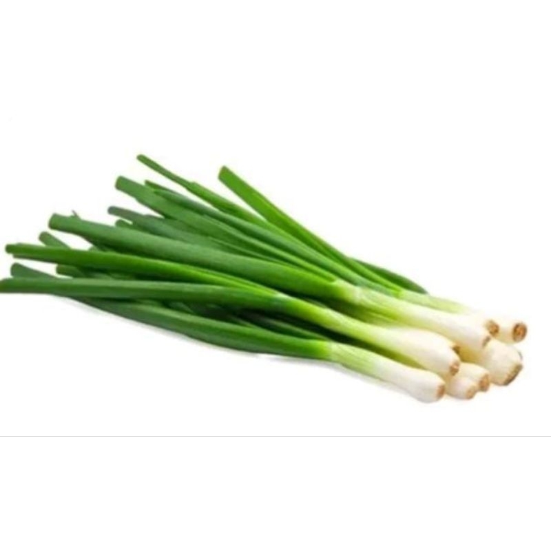 

Daun bawang1 ikat (5000)