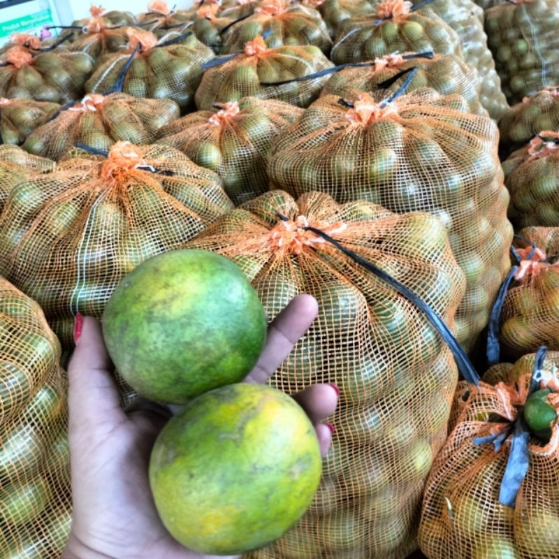 

Jeruk Baby Pacitan Jeruk Peras Jeruk Manis