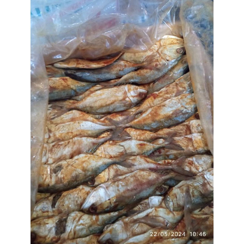 

ikan peda merah kualitas super premium