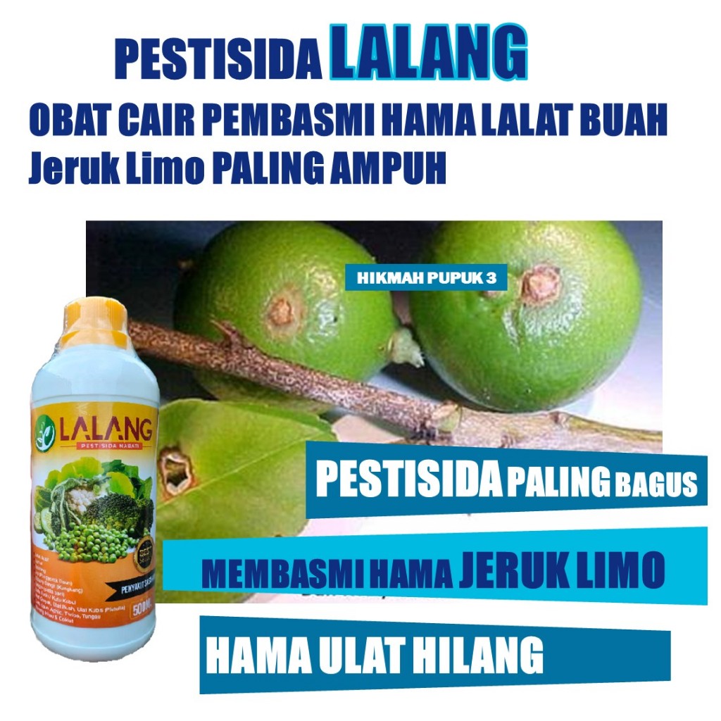 PESTISIDA ORGANIK LALANG PUPUK TANAMAN PEMBASMI HAMA JERUK LIMO, Pupuk Pengendali Hama Buah Jeruk Ob