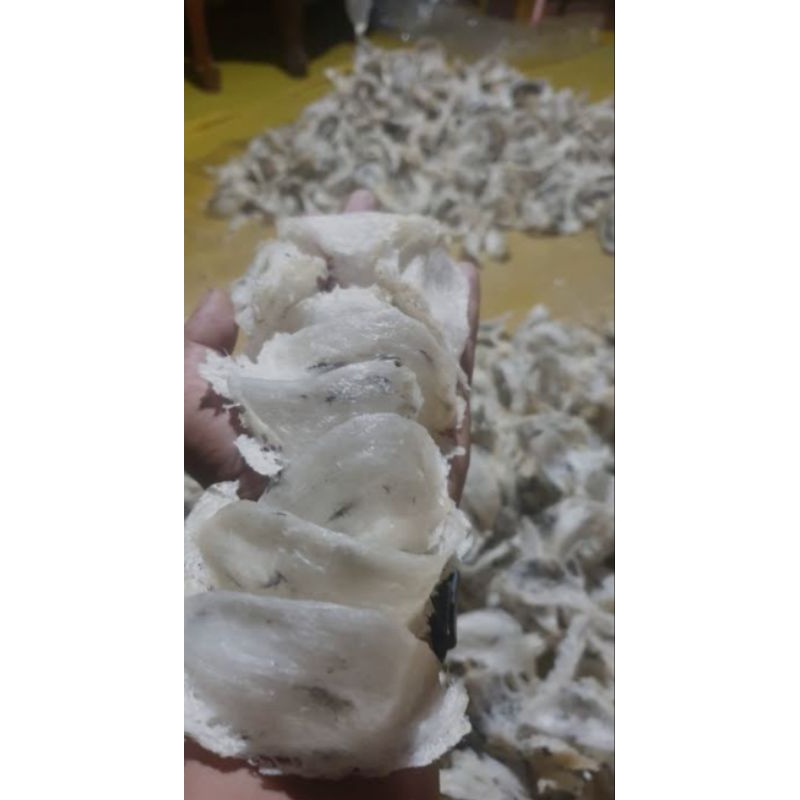 

sarang walet original