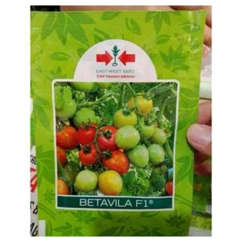 Benih Bibit Tomat BETAVILA F1 isi 1750biji