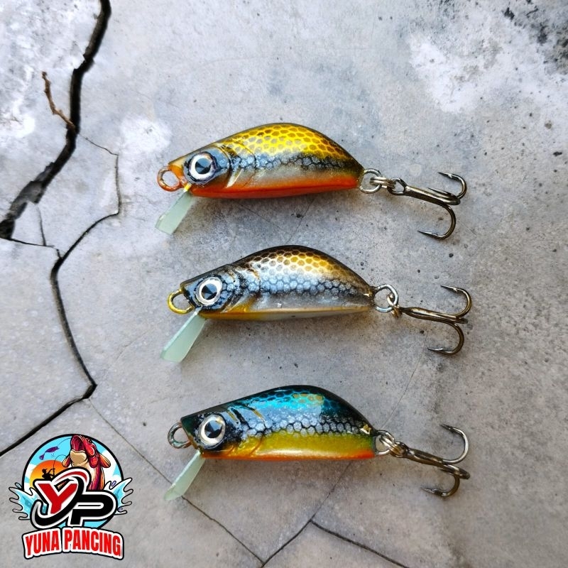 Minnow Micro 2CM 2gr | Lure Handmade Micro Casting Hampili Mahseer DLL