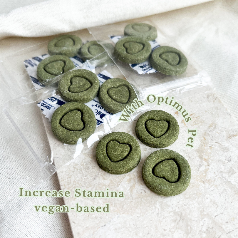 Healthy Booster Coin Cookies (Contains Optimus Pet) | Snack Sehat Hamster | Snack Vitamin Hamster