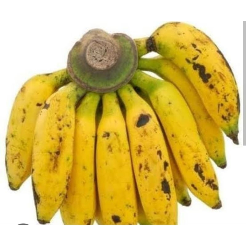 

Pisang Uli Fresh (1sisir)