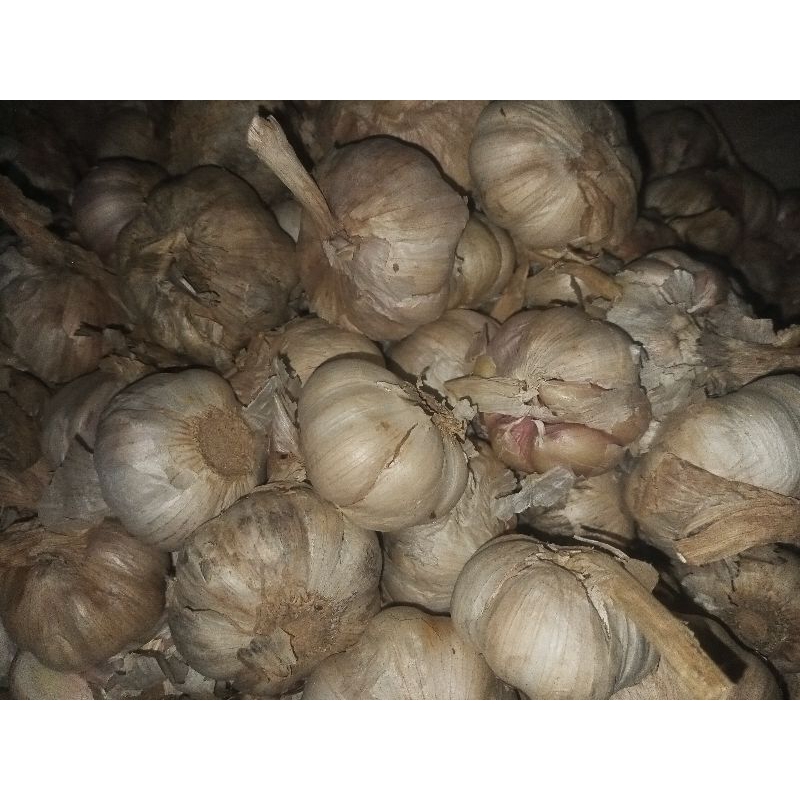 Bawang Putih Sinco 1kg (kotor)