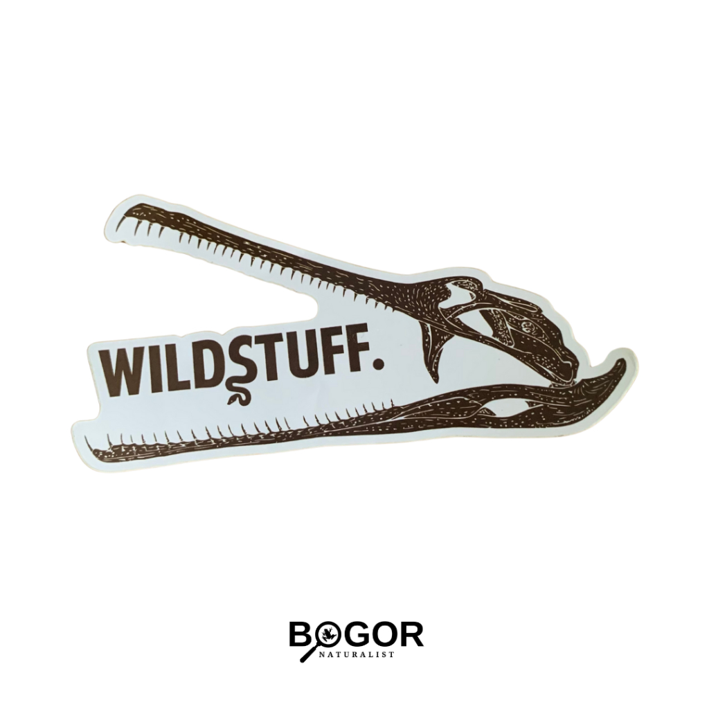 

Sticker Wildstuff Tengkorak