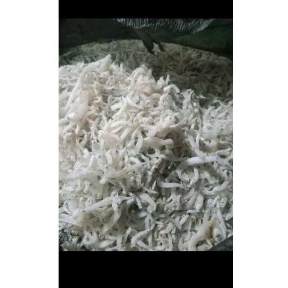 

teri medan