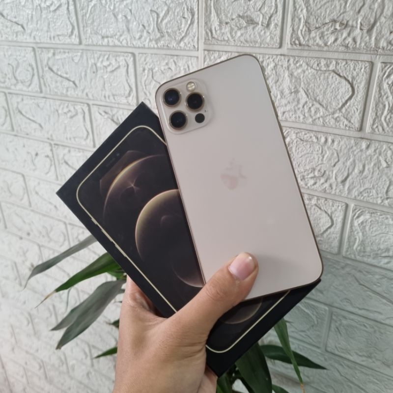 iphone 12 pro 256 inter