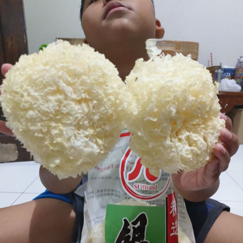 

jamur sop jamur manten, jamur matahari, jamur tahu 100g, 250g