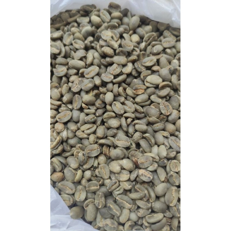

KOPI GREENBEAN ARABICA FULLWASH JAVA BISMO (Wonosobo)