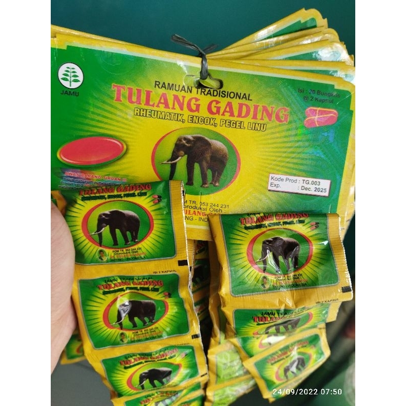 

kapsul tulang gading original