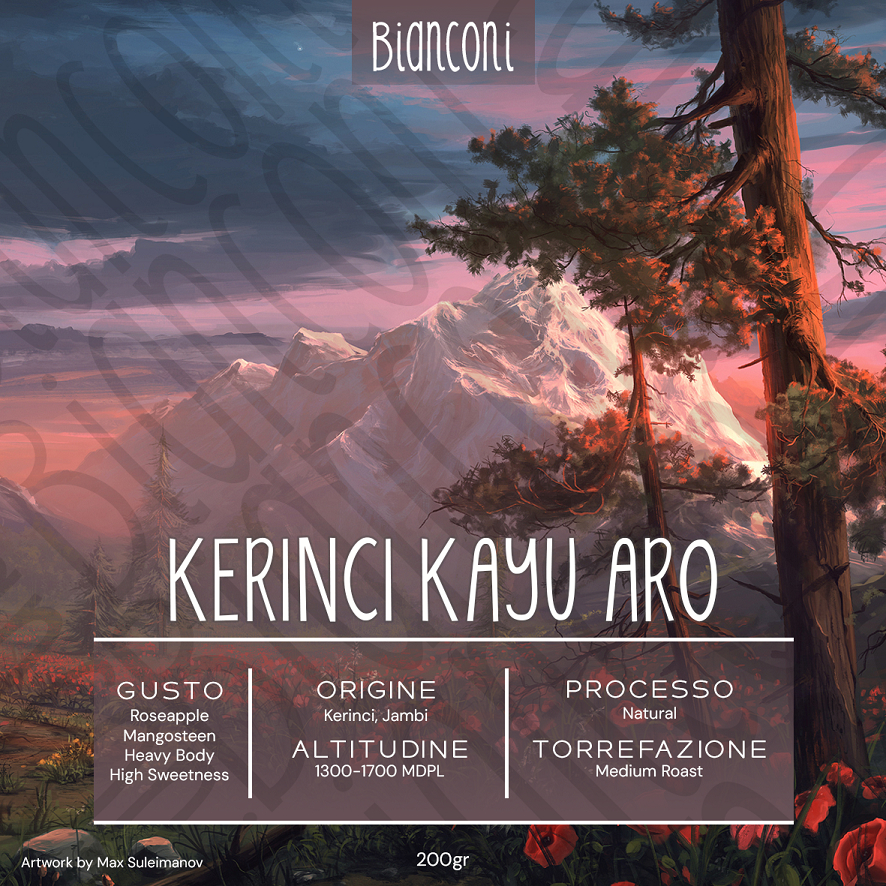 

Arabica Kerinci Kayu Aro - Natural 200gr - Bianconi Caffè Artigiana