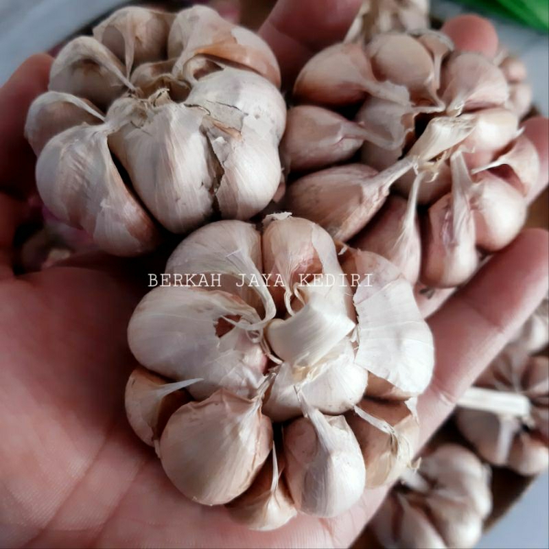 

BAWANG PUTIH 500GR MURAH MERIAH KUALITAS TERBAIK SUPER