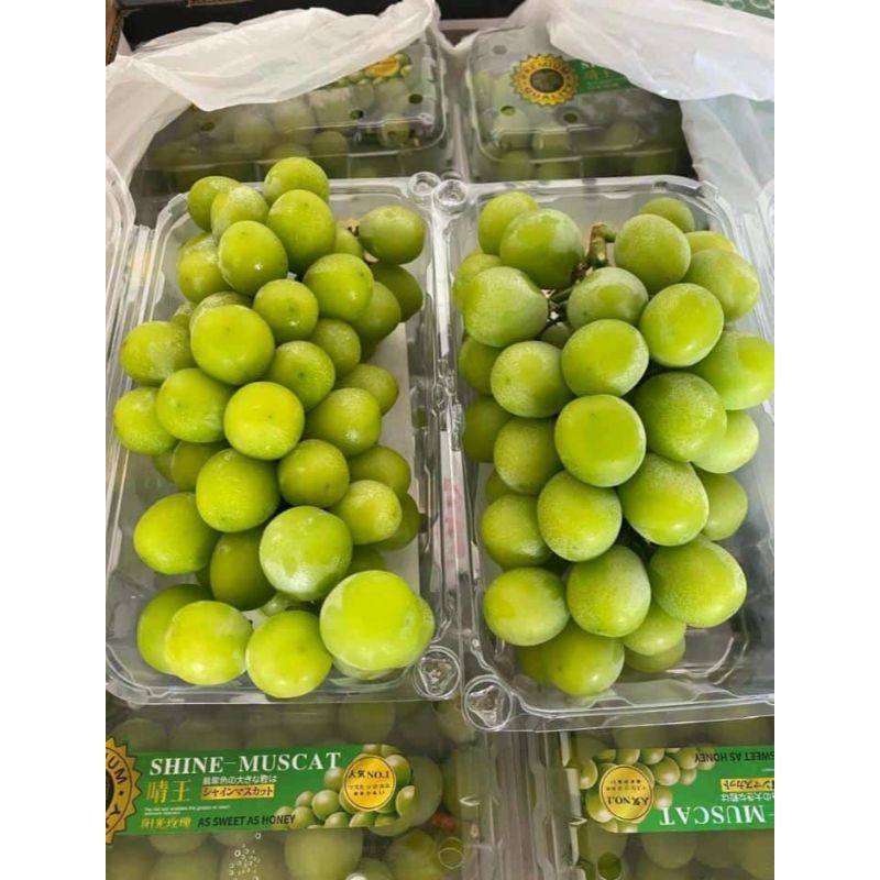 

Shine Muscat Premium / Shine Muscat Hijau 500gr