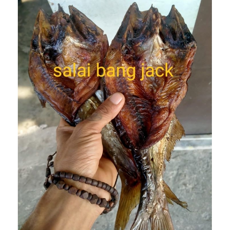 

ikan salai patin